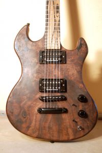 Hackl Custom Guitar #031008